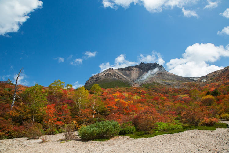 Mt.Chausu in Autum